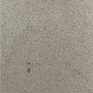 Meet your Posher, Gabe